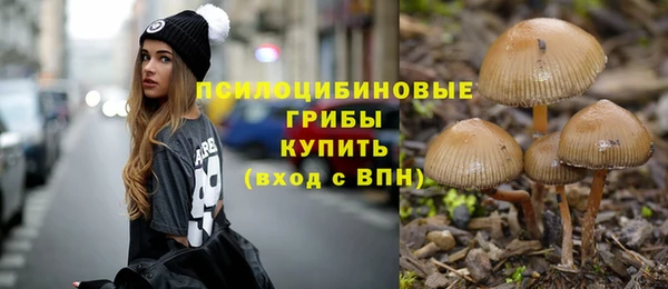 PSILOCYBIN Протвино