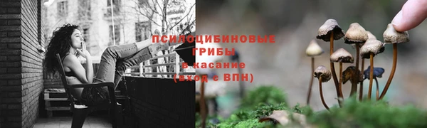 скорость Приозерск