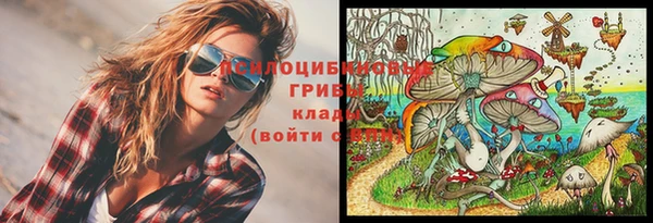 скорость Приозерск