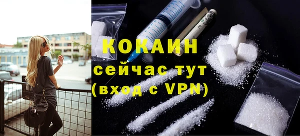 гашик Покровск