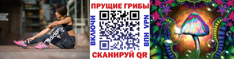 хочу наркоту  Абдулино  Галлюциногенные грибы ЛСД 